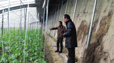 蘭州市加大科技服務 助推農業(yè)產業(yè)發(fā)展