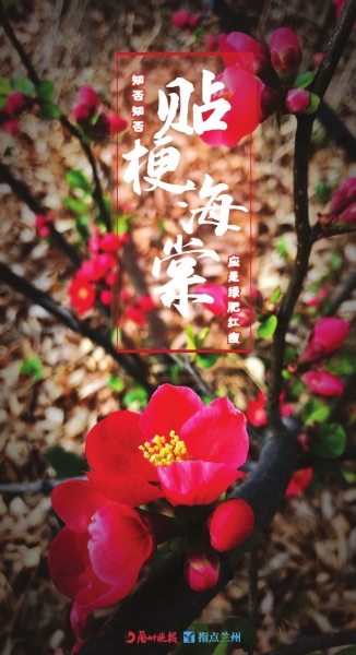 來(lái)，跟這些美美的花朵認(rèn)識(shí)一下！