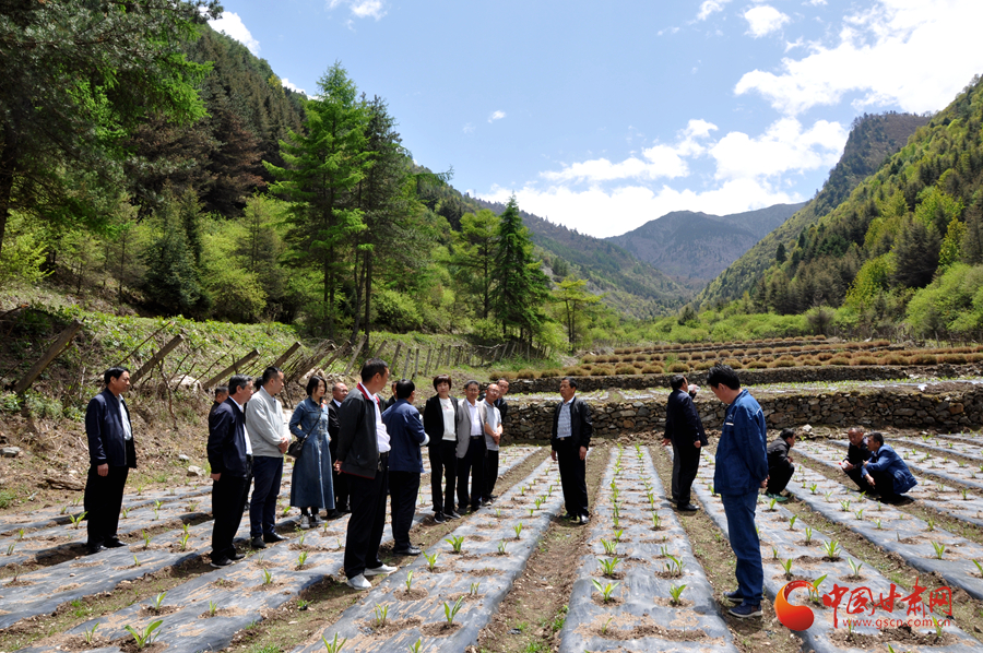 白龍江博峪河保護局開展產業(yè)發(fā)展、義務勞動成果現場觀摩交流活動