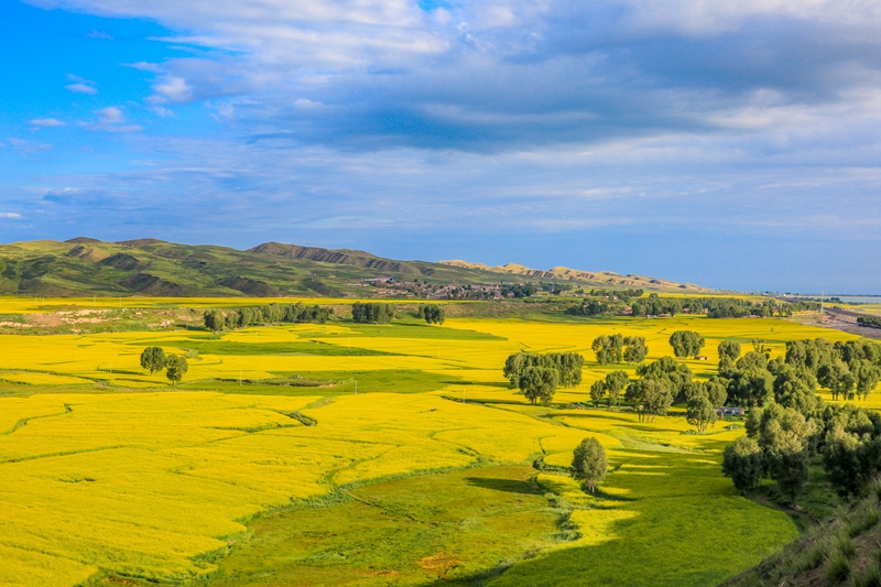 創(chuàng)意海報(bào)丨甘肅的美，你來了才知道