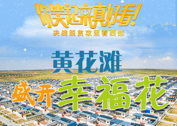 【你笑起來真好看】黃花灘盛開幸?；ǎ▓D解）