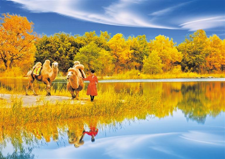 國慶長(zhǎng)假，去金塔遇見最美胡楊