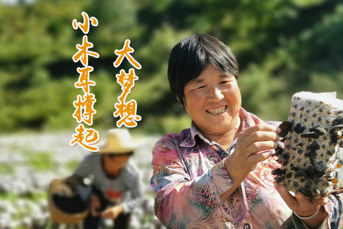 海報(bào)丨他們，乘“豐”破浪！