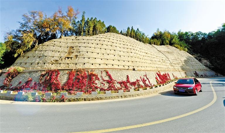 近90度陡坡上種樹！蘭州南北兩山綠化出新招