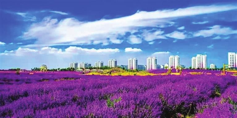 “三連冠”！金昌蟬聯(lián)全國文明城市