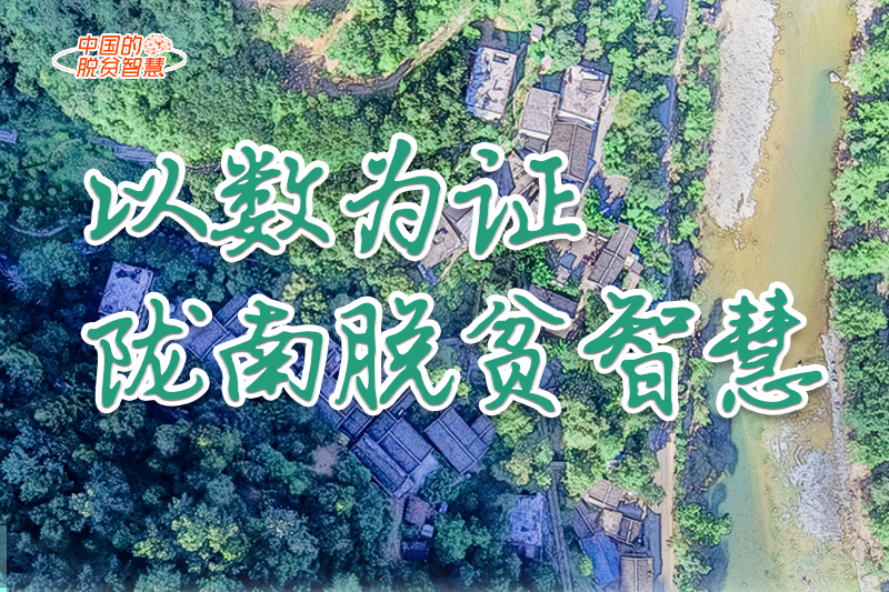 【中國的脫貧智慧】以數為證！隴南脫貧智慧來了！