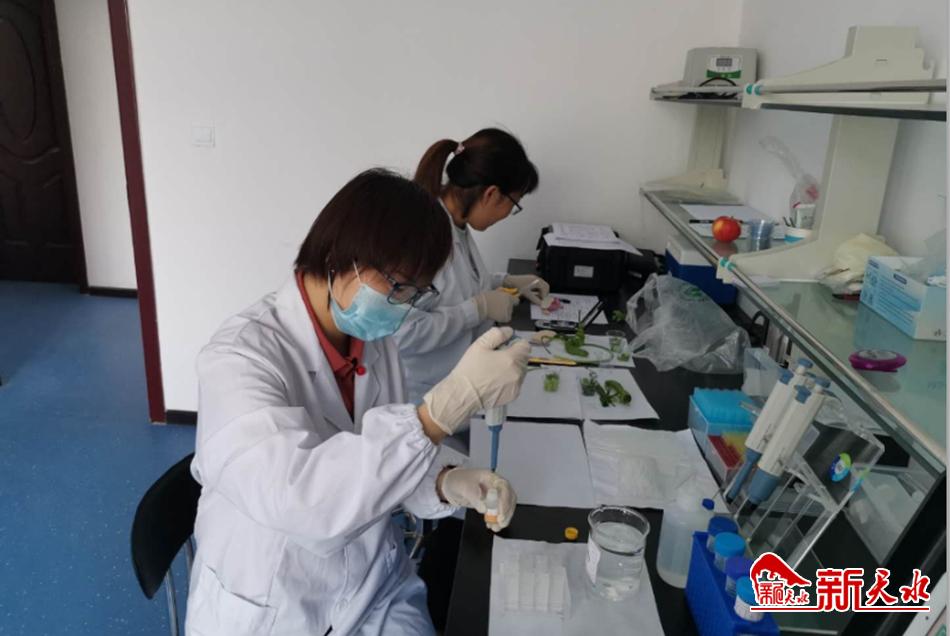 天水市市場監(jiān)管局開展“消費(fèi)扶貧”食品專項(xiàng)監(jiān)督抽檢