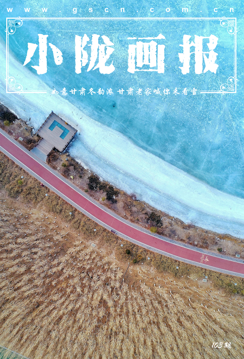 【小隴畫報·103期】雪添冬韻 千里隴原素雅綻放