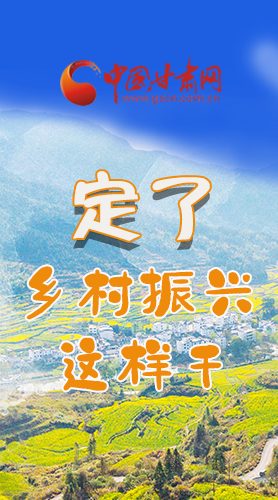 圖解|定了！全面推進(jìn)鄉(xiāng)村振興這樣干！