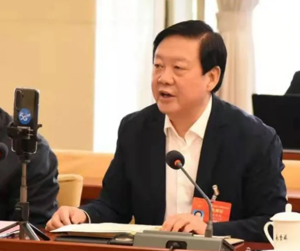 【聚焦2021全國兩會】全國人大代表、市委書記楊維俊接受中國日報記者采訪