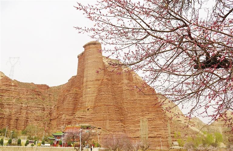 人間三月滿眼春 唐汪杏花始盛開(kāi)