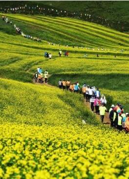 甘肅明確農(nóng)民進(jìn)城落戶:不以退出承包地、林地等為條件