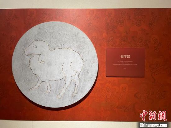 圖為展覽現(xiàn)場(chǎng)。　江楊燁 攝