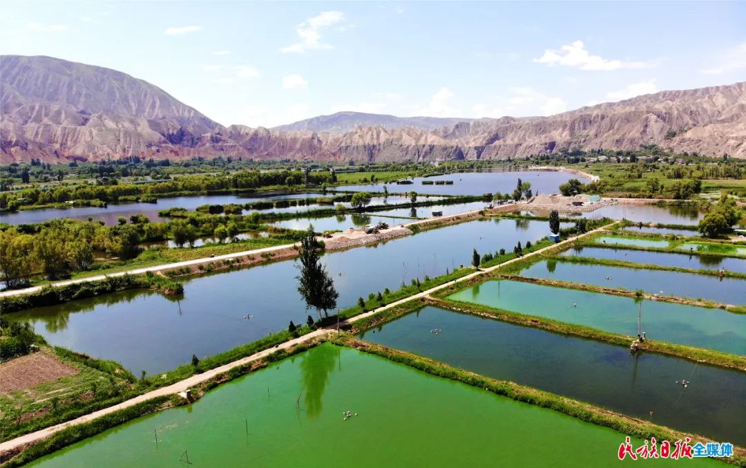一秒入畫！太極島濕地風(fēng)光秀麗