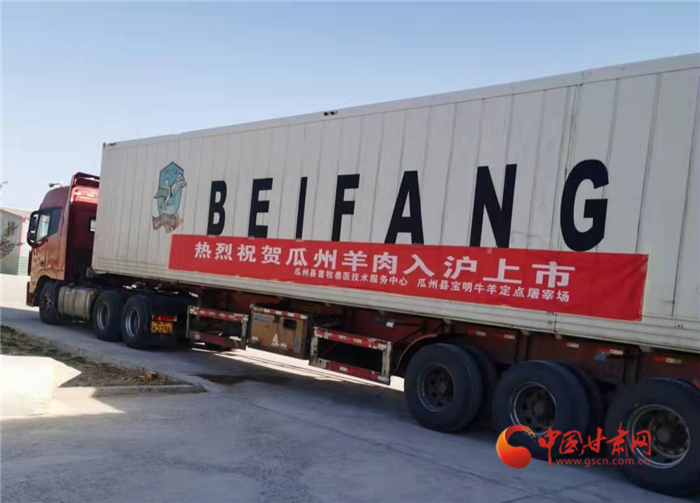 【小康圓夢(mèng)·看甘肅】酒泉市瓜州縣2.9萬公斤羊肉遠(yuǎn)銷入滬