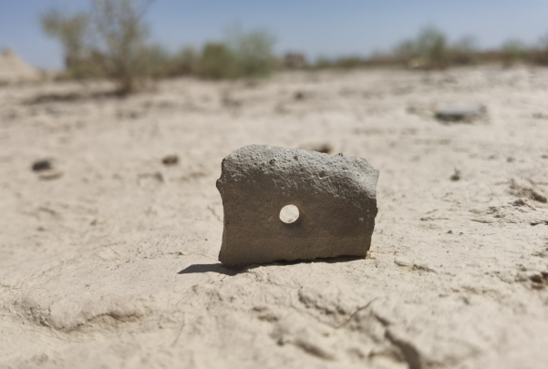 插圖1：河西走廊上遺存的古陶片。攝影：陳曉斌。拍攝日期：2020年6月。