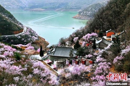 甘肅平?jīng)鍪惺侵袊?guó)優(yōu)秀旅游城市。圖為平?jīng)鲠轻忌较率锾一ㄊ㈤_。(資料圖) 平?jīng)鍪形麄鞑抗﹫D