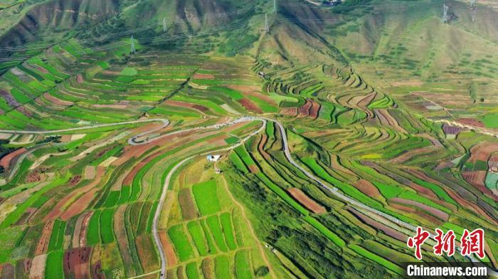 秋日里，榆中縣馬坡鄉(xiāng)千畝梯田，不同農(nóng)作物漸趨成熟，呈現(xiàn)出多種色彩，宛若大地的“調(diào)色盤”?！圆?攝