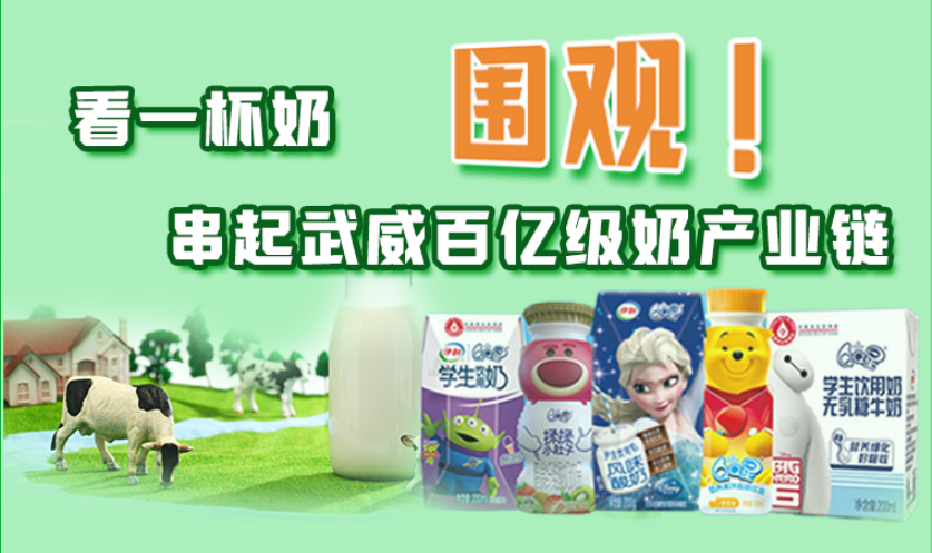 圖解|圍觀！看一杯奶串起武威百億級奶產(chǎn)業(yè)鏈
