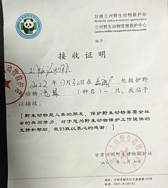 受到救助的池鷺被蘭州野生動物保護站接收。（蘭州市公安局七里河分局供圖）