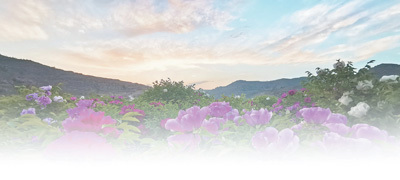 1674883787689733.jpg?x-oss-process=style/w10 1674852396352_1.jpg?x-oss-process=style/w10