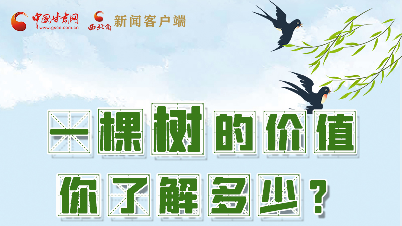 圖解|一棵樹的價值你了解多少?來看！