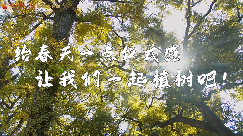 短視頻|給春天一點儀式感，讓我們一起植樹吧！