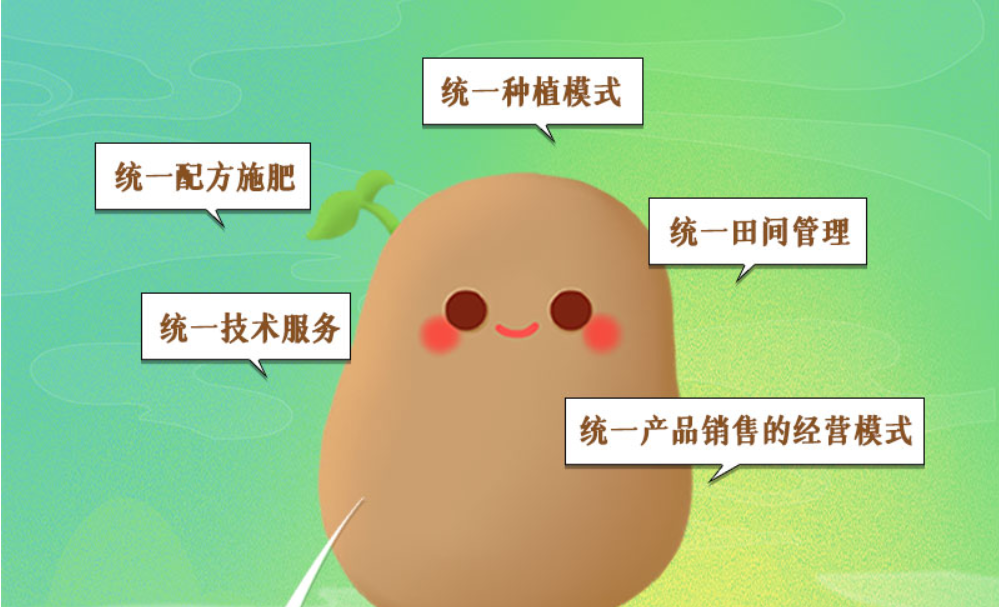 長(zhǎng)圖丨甘肅馬鈴薯“升值記”：一顆土豆撬動(dòng)一個(gè)產(chǎn)業(yè)