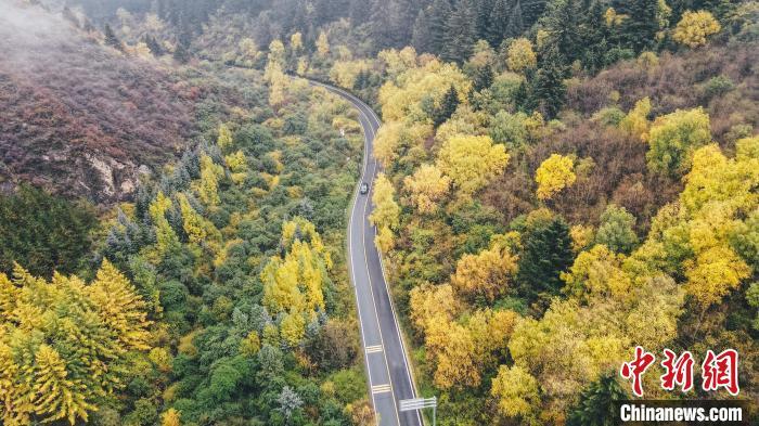 深秋，航拍位于蘭州市榆中縣的興隆山，景色如畫(huà)。金峯 攝</p>
<p>