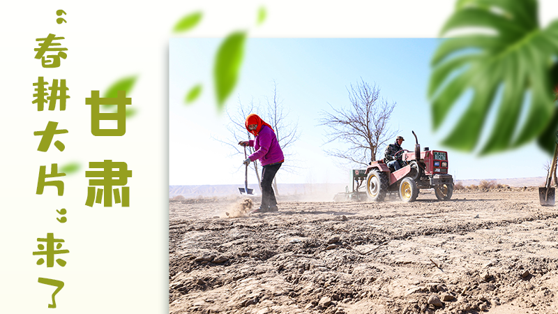 【甘快看】海報(bào)|瞧！甘肅“春耕大片”來(lái)了