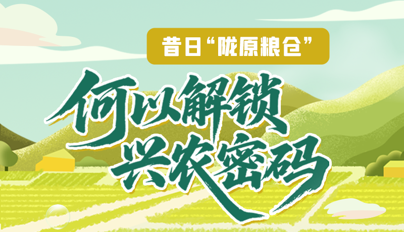 【理響中國·話隴點睛（3）】昔日“隴原糧倉”，何以解鎖“興農密碼”