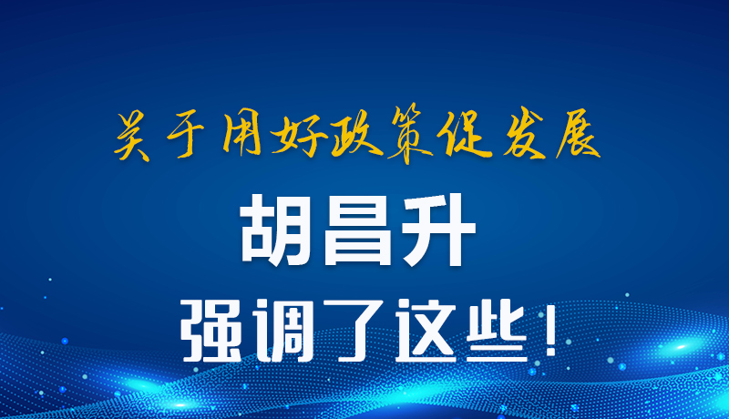 圖解|關于用好政策促發(fā)展 胡昌升強調了這些！