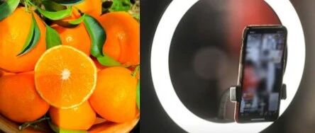 聲稱“橙子提高免疫力”、“悲情助農(nóng)”等類案頻發(fā)，敲響各單位直播帶貨警鐘