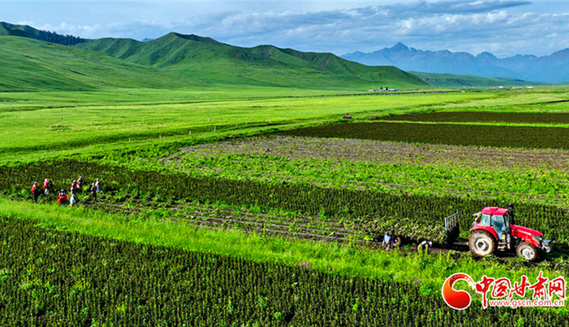 甘肅面向全社會(huì)公開(kāi)征集交旅融合經(jīng)典品牌與精品路線