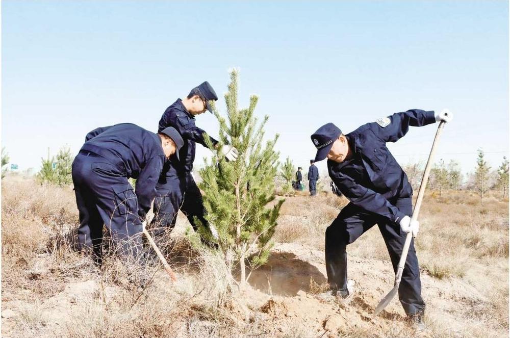 古浪公安為八步沙林場(chǎng)添新綠